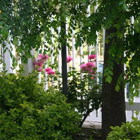 Hobbit Ξενοδοχείο