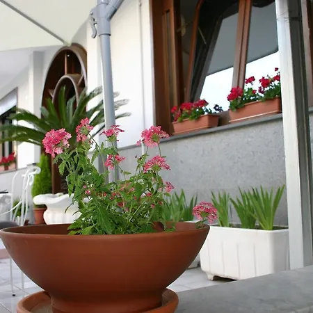 Hobbit Otel 3*